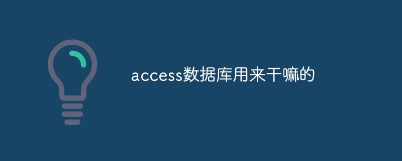 What is the access database used for?