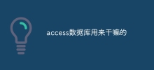 Access データベースは何に使用されますか?