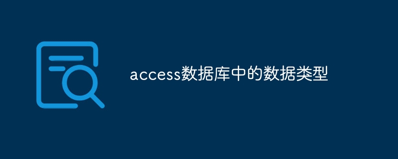 access数据库中的数据类型
