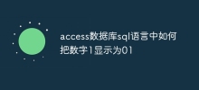 access数据库sql语言中如何把数字1显示为01