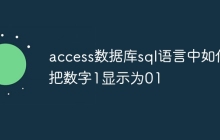 access数据库sql语言中如何把数字1显示为01