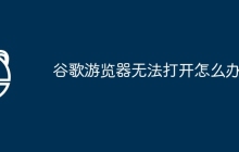 谷歌游览器无法打开怎么办