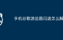 手机谷歌游览器闪退怎么解决