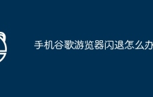 手机谷歌游览器闪退怎么办