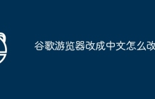 谷歌游览器改成中文怎么改啊