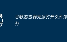 谷歌游览器无法打开文件怎么办