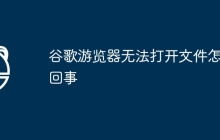 谷歌游览器无法打开文件怎么回事