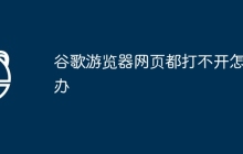 谷歌游览器网页都打不开怎么办