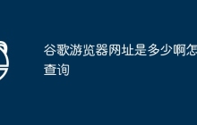 谷歌游览器网址是多少啊怎么查询