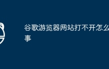 谷歌游览器网站打不开怎么回事