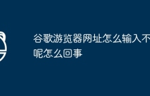 谷歌游览器网址怎么输入不了呢怎么回事