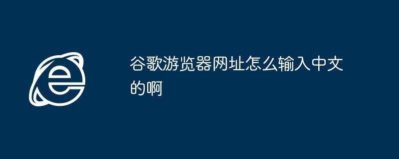 谷歌游览器网址怎么输入中文的啊