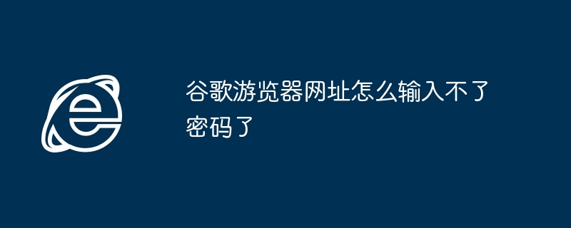 Google 브라우저 URL에 비밀번호를 입력할 수 없는 이유는 무엇입니까?