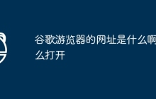 谷歌游览器的网址是什么啊怎么打开