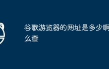 谷歌游览器的网址是多少啊怎么查