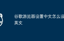 谷歌游览器设置中文怎么设置英文