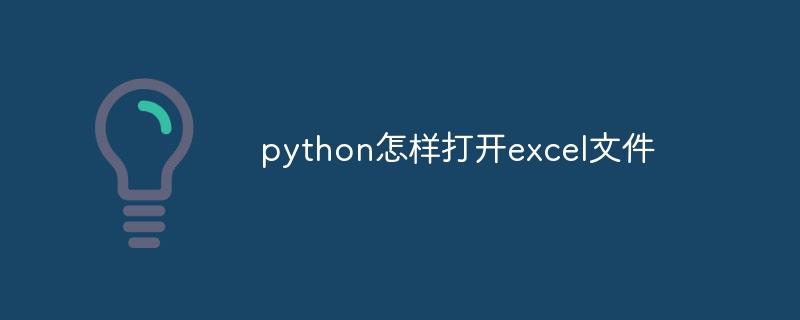 How to open excel file in python