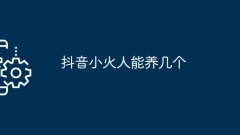 あなたはDouyin Xiaohuoを何人育てることができますか?