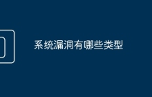 系统漏洞有哪些类型