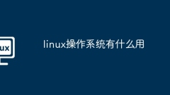 Wozu dient das Linux-Betriebssystem?