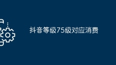 Le niveau Douyin 75 correspond à la consommation