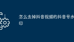 Douyin 비디오에서 Douyin 계정 워터마크를 제거하는 방법