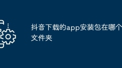 Douyin에서 다운로드한 앱 설치 패키지는 어느 폴더에 있나요?