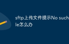 sftp上传文件提示No such file怎么办