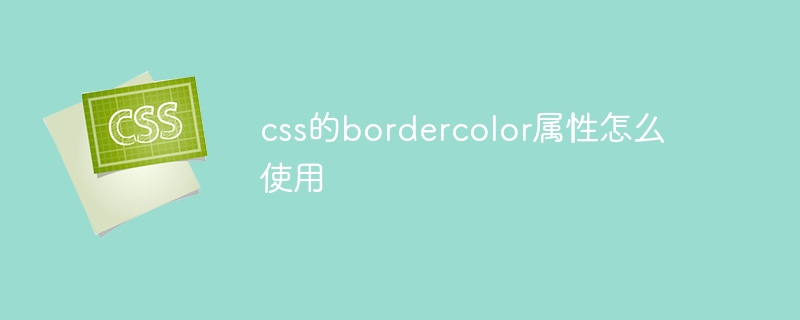 How to use the bordercolor attribute of css