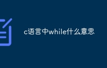 c语言中while什么意思