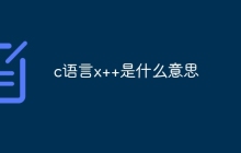 c语言x++是什么意思