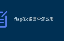 flag在c语言中怎么用