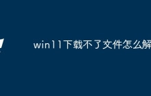 win11下载不了文件怎么解决