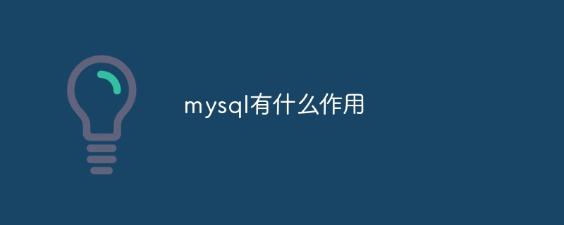 MySQL은 무엇을 합니까?