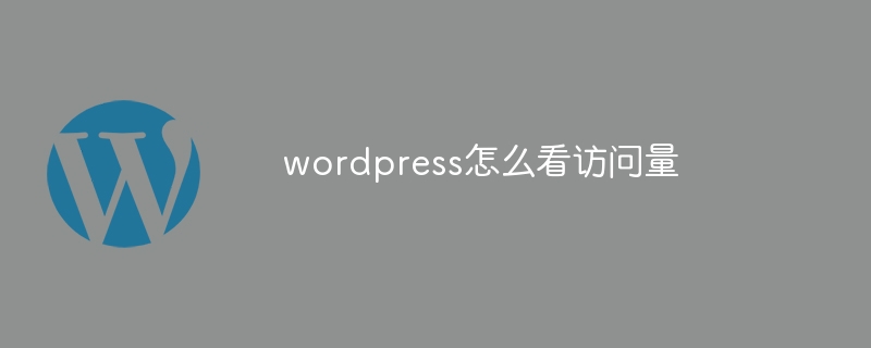 wordpress怎么看访问量