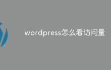 wordpress怎么看访问量