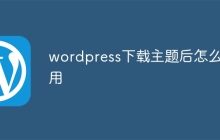 wordpress下载主题后怎么启用