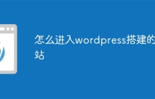 怎么进入wordpress搭建的网站