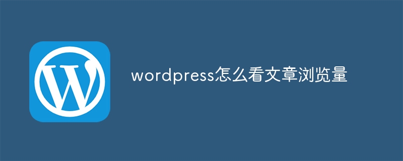 wordpress怎么看文章浏览量-WordPress-