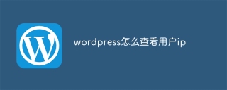 wordpress怎么查看用户ip