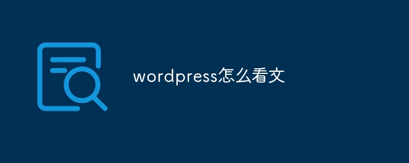 wordpress怎么看文-WordPress-
