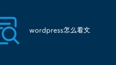 Comment lire du texte dans WordPress