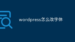 Comment changer la police dans WordPress