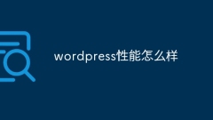 Quelles sont les performances de WordPress ?