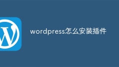 So installieren Sie das Plugin in WordPress