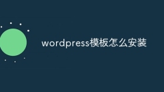 So installieren Sie die WordPress-Vorlage