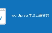 wordpress怎么设置密码