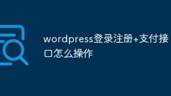 So bedienen Sie die WordPress-Login-Registrierungs- und Zahlungsschnittstelle