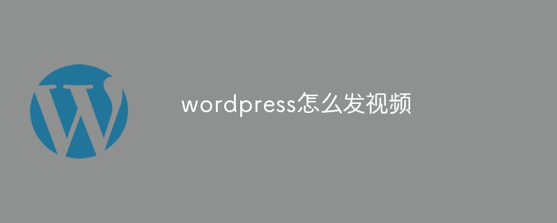 wordpress怎麼發視頻