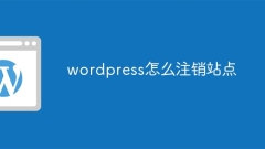 So melden Sie sich von der WordPress-Site ab